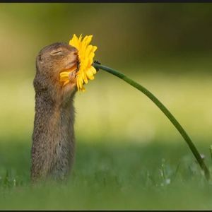 Meet your Posher, Krista